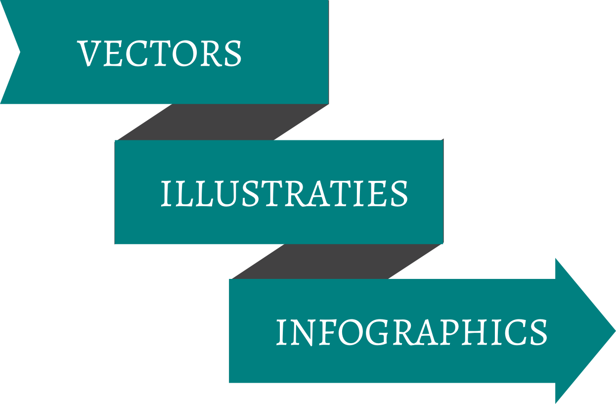 infographic vector